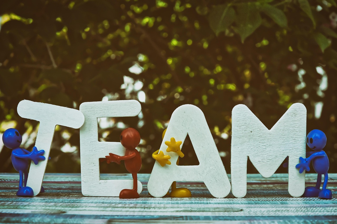 铁塔猫烟花葡萄珠（细）：海南海口代理注册公司注册