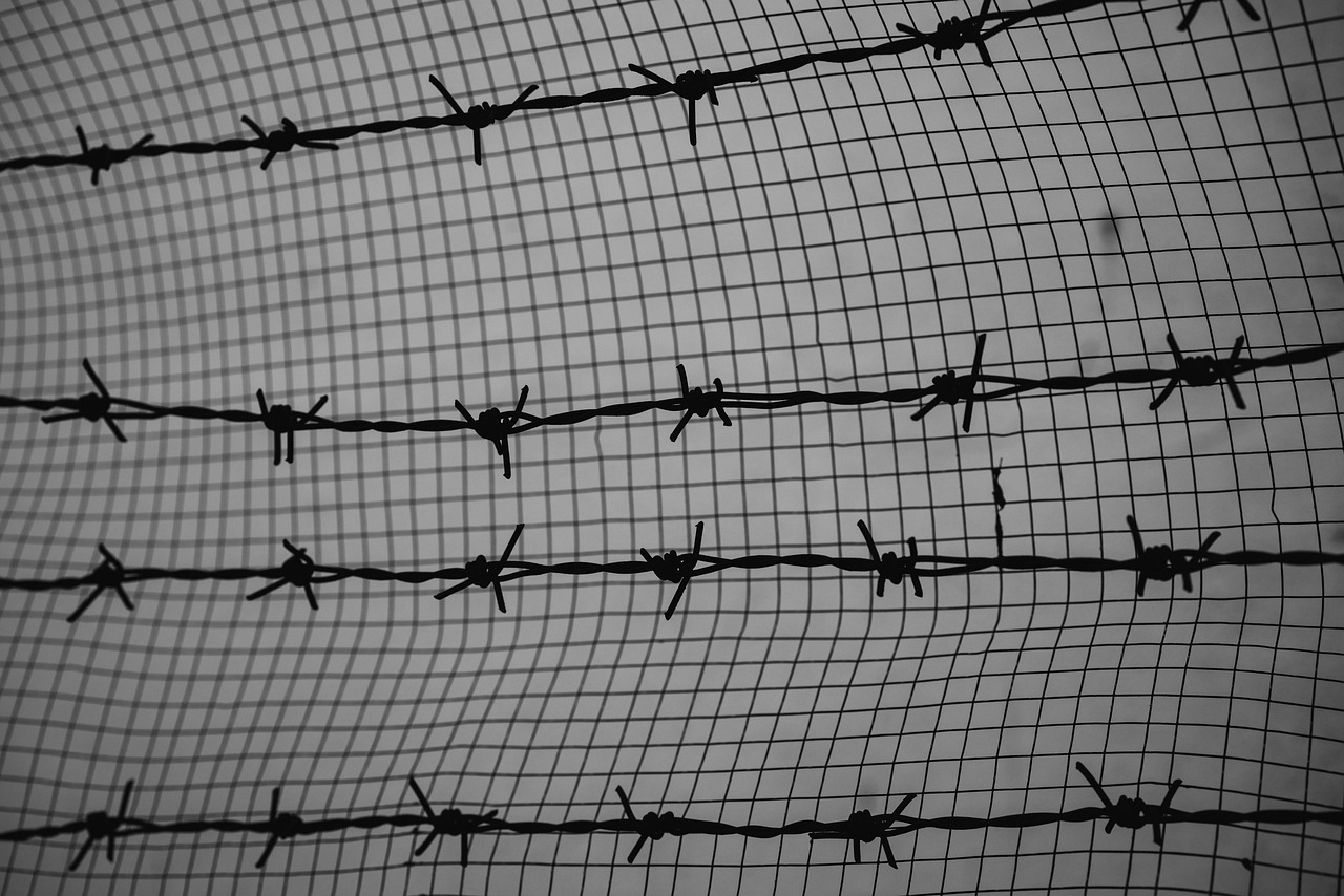 如何防范和打击基于技术支持的网络安全防护和合规运营行为