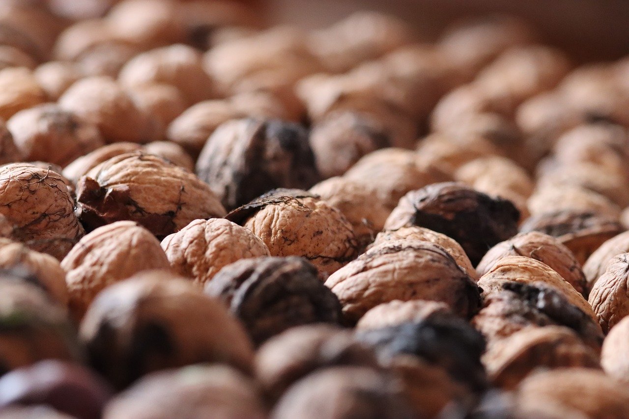 铁塔猫奶油爆珠（粗）：鲁米代理注册